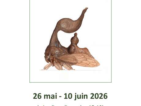 Pépites de Guyane