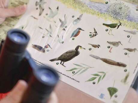 Croisière ornithologique Loire-Odyssée Croisière ornithologique Loire-Odyssée