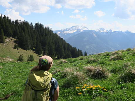 Randonnée pédestre : Tour du Mont Ouzon
