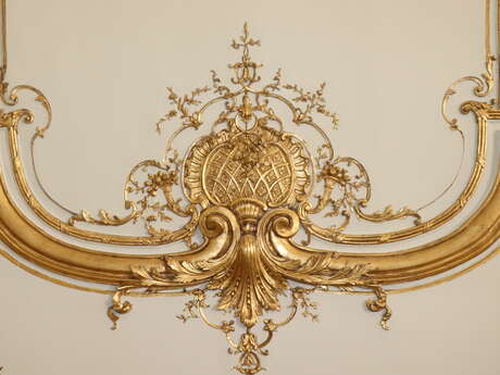 Visite-concert à l'Hôtel de Noailles