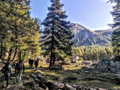 Projection documentaire avec le Parc National du Mercantour