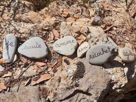 Sortie : Reflets de rivière, secrets de galets
