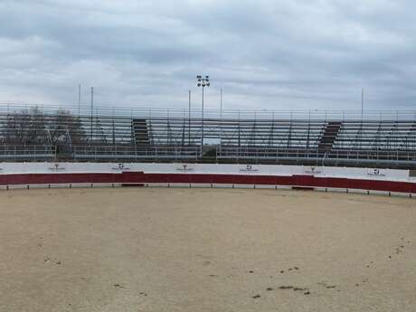 Corrida du Centaure d'Or