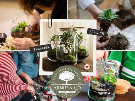 Atelier Terrarium