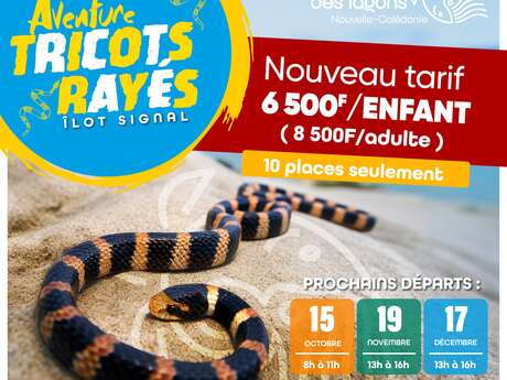 Aventure tricots rayés