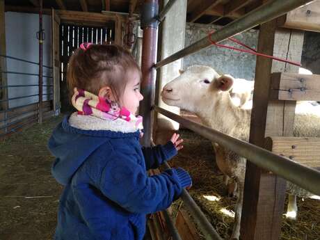 Visite libre de la ferme des Belines