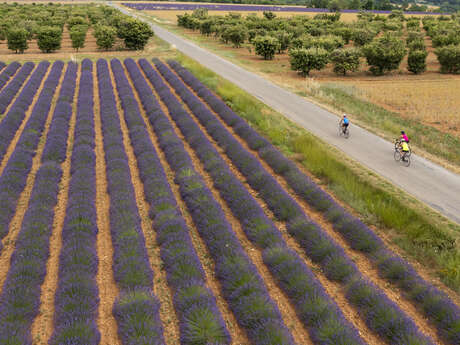 Cyclo n°9 - Les deux cols du plateau de Puimichel