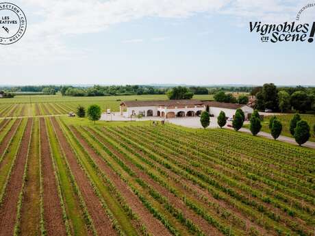 Jeu de piste dans les vignes suivi d'une dégustation - "Vignobles en scène"