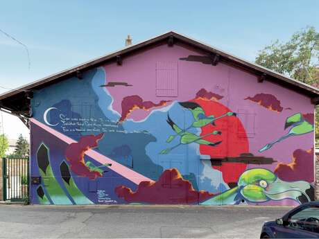 Transect - Street art