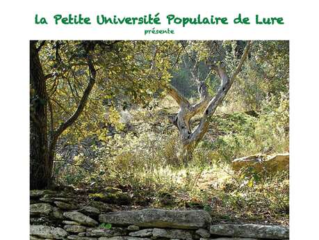 La Petite Université Populaire de Lure présente "Calades et pierre sèche" une conférence de Renat Sette.