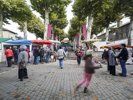 Association Effets Nature Association Effets Nature