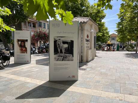 Exposition Paris-Match Hommage à Brigitte BARDOT