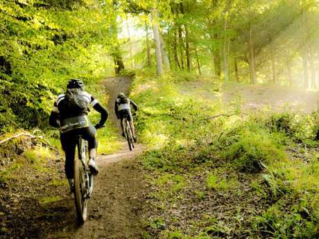 Balade VTT / E-Bike - ESS