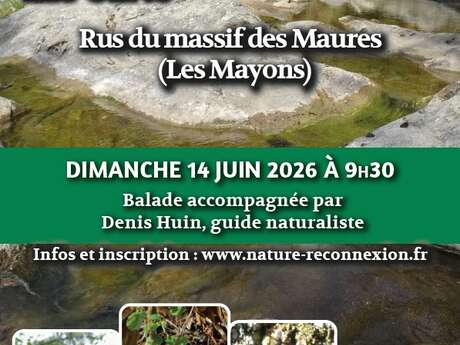 Balade accompagnée "Les Maures dans tous les sens"