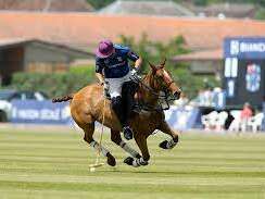 Tournoi de polo - La saga challenge