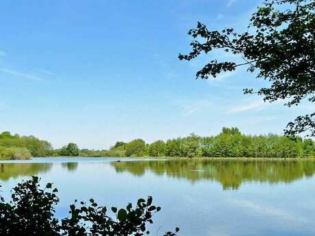 Etang Cocagne