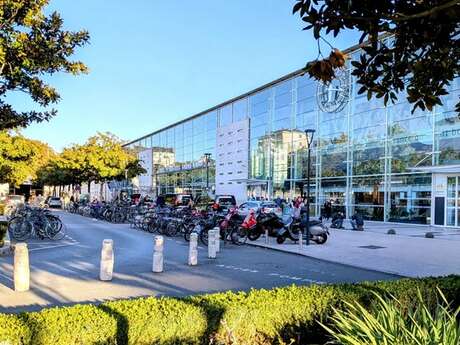 Mini burbujas de cultivo de aperitivo