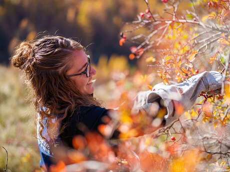 Découverte de la cueillette sauvage et fabrication artisanale à base de plantes