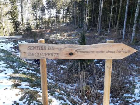 Sentier thématique "Promenons-nous dans les bois"