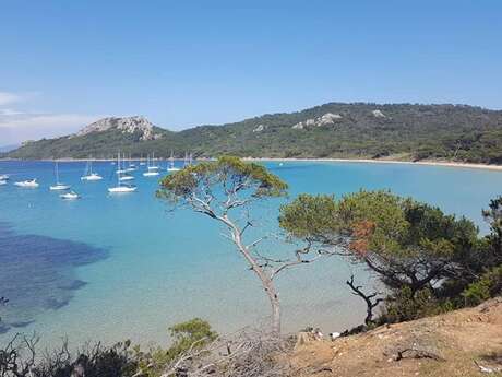 Porquerolles - Atlantide