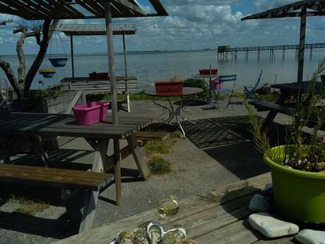 Oyster bar - Bénard et Fils