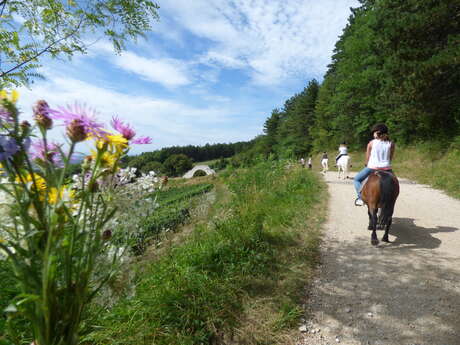 Itinéraire équestre Ceyzériat -Villeneuve les Charnoz (Jura)