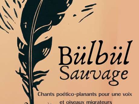 BülBül sauvage : Concert / Spectacle
