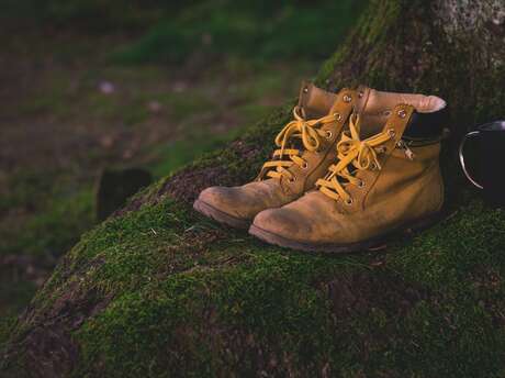 À la découverte des Martres-d'Artière