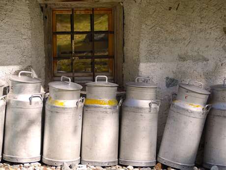 Visite de la fromagerie de Chassour