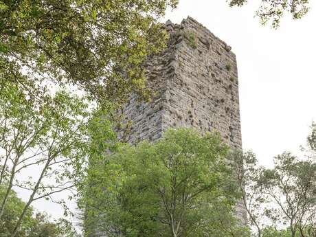 La Tour du Puech à Cendras