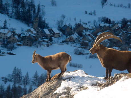Bureau des Guides et Accompagnateurs de Serre Chevalier