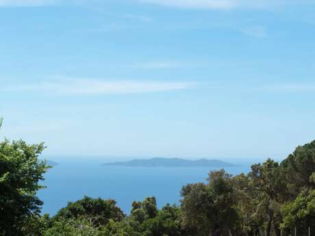 Le Relais du Vieux Sauvaire - Villa T4 "Le Grand Chêne"