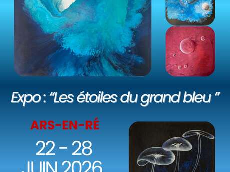 Ausstellung Les étoiles du Grand Bleu - Gemälde