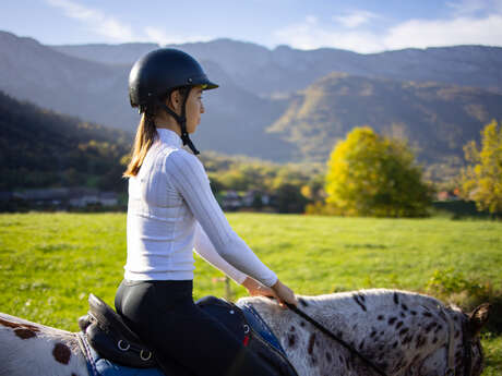 Bon cadeau : balade à poney