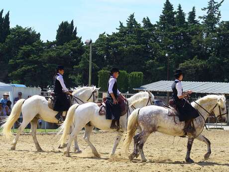 Les Ecuries du Petit Claux