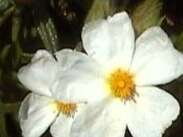 Balade nature avec le CIETM