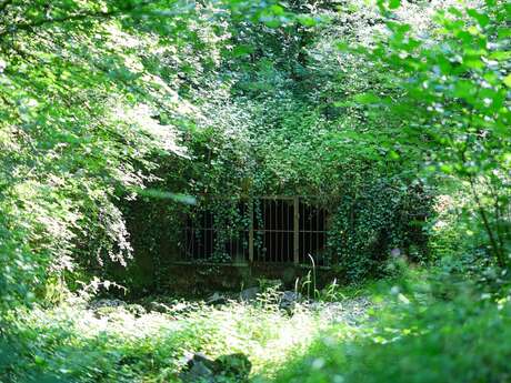 Hike: La Source du Biel