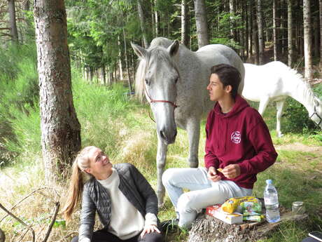 Les chevaux de Capucine