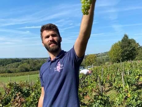 La Cave de Corentin Bouilloux - Vigneron