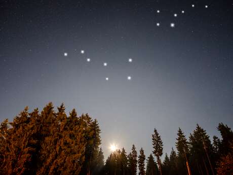 Pure Flow: Starry Storytelling Walk