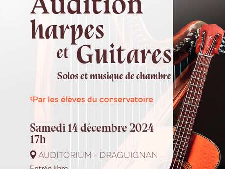 Audition harpes et guitares