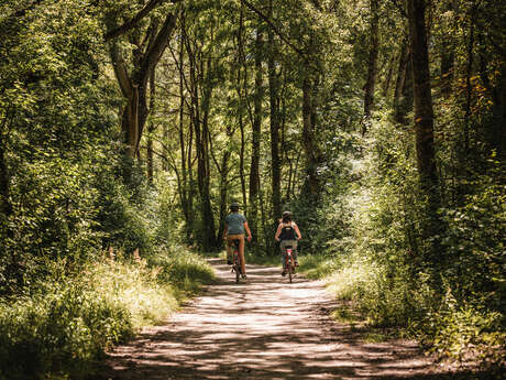Bois de Vernaz