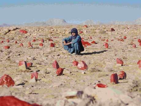 Ce que le ciel ne sait pas