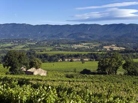 Terres Valdèze