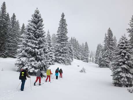 Cours collectifs de ski de fond pour adulte perfectionnement