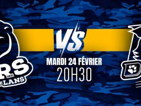 Match de Hockey sur glace - D1
