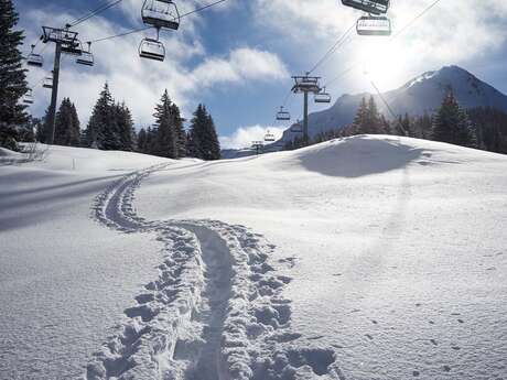 Balade en raquettes avec Alpine Ski School