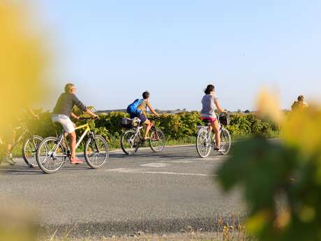 Chemins en campagne à vélo