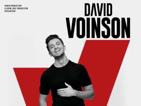 One man show : David Voinson