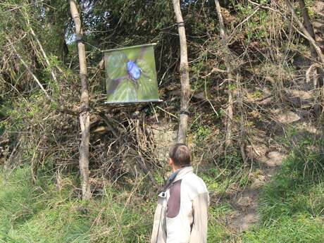 Sentier expo de Cazes Mondenard